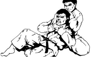 Tournoi jujitsu de Dax