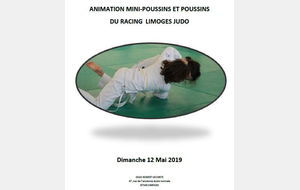 Tournoi du Racing Limoges Judo
