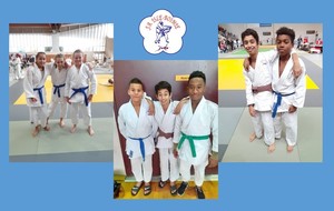 Tournoi de Poitiers