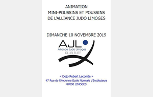 Tournoi de l'Alliance Judo Limoges