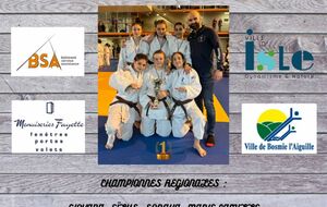 CHAMPIONNAT REGIONAL PAR EQUIPES