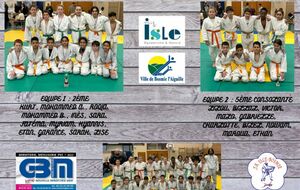 TOURNOI PAR EQUIPES DU PALAIS SUR VIENNE